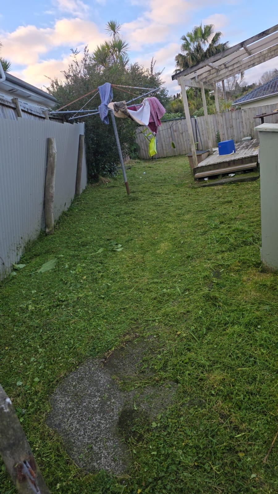After Professional Lawn Mowing - Clean and Tidy Results