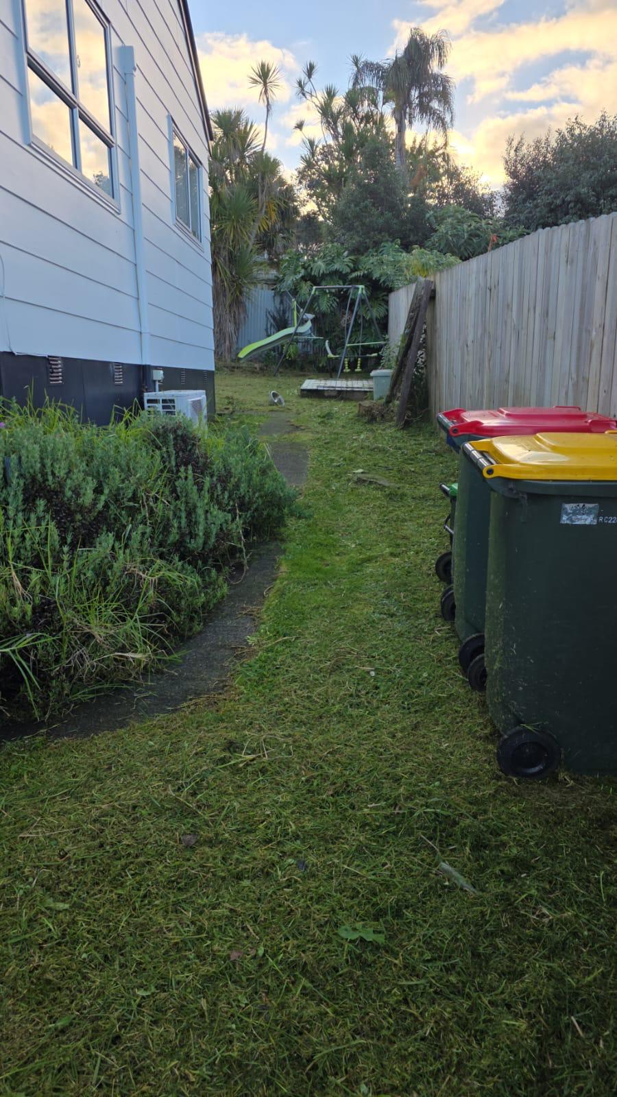 Perfectly Shaped Hedge After Expert Trimming Service