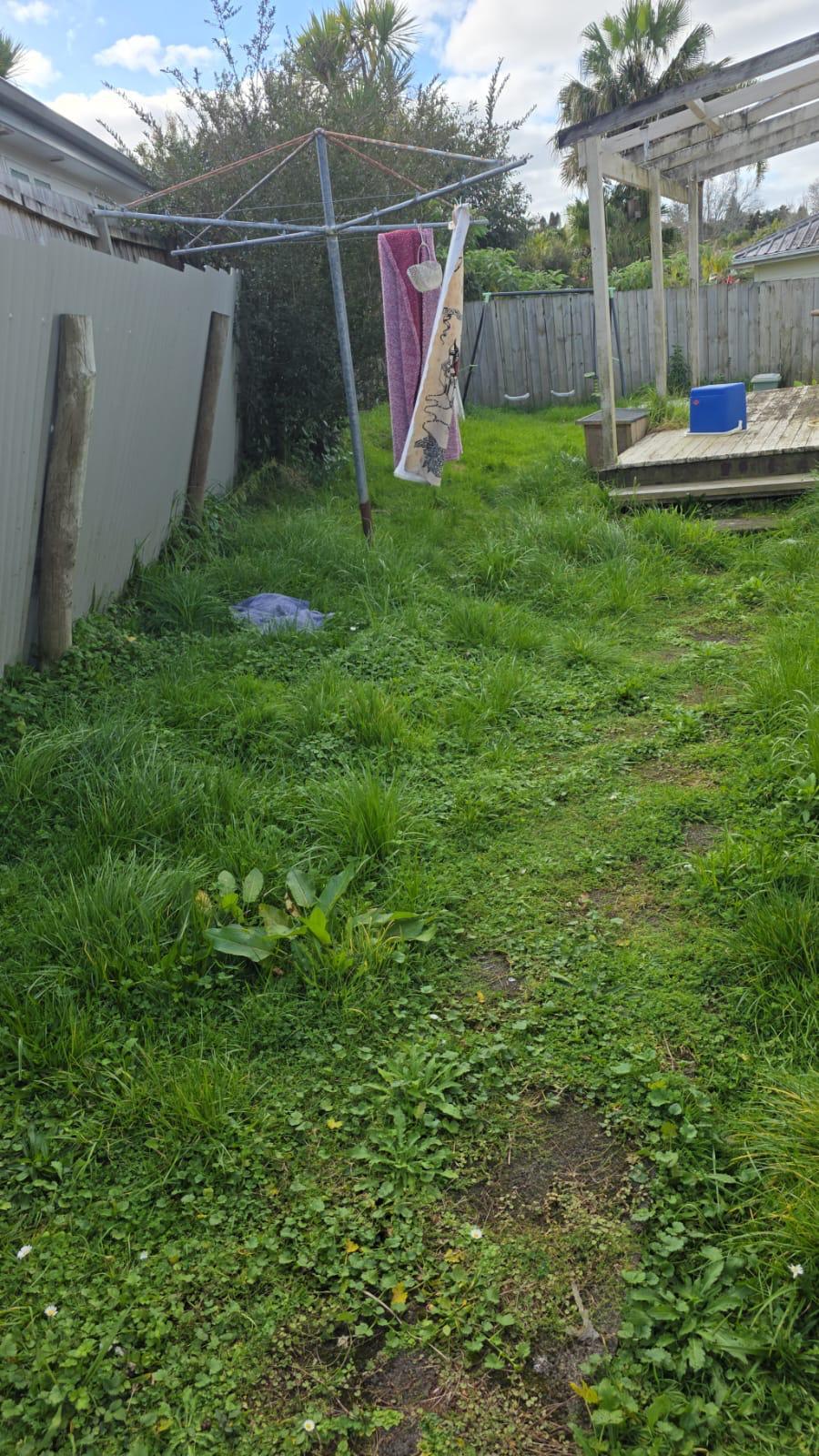 Before Lawn Mowing Service - Auckland Residential Property